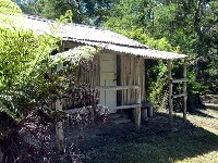 Bush hut
