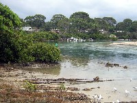 Tomaga River at Mossy Point