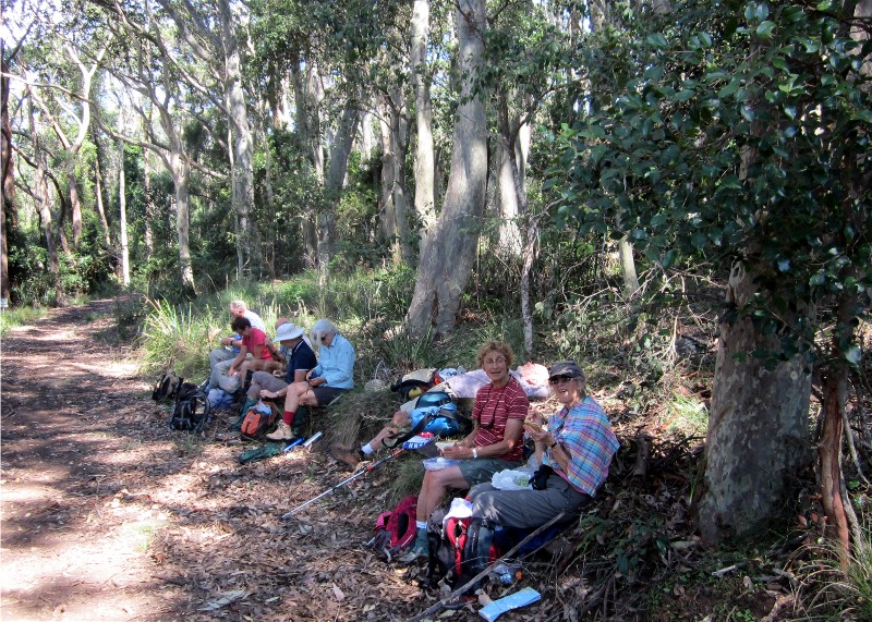 Lunch on Durras Mountain