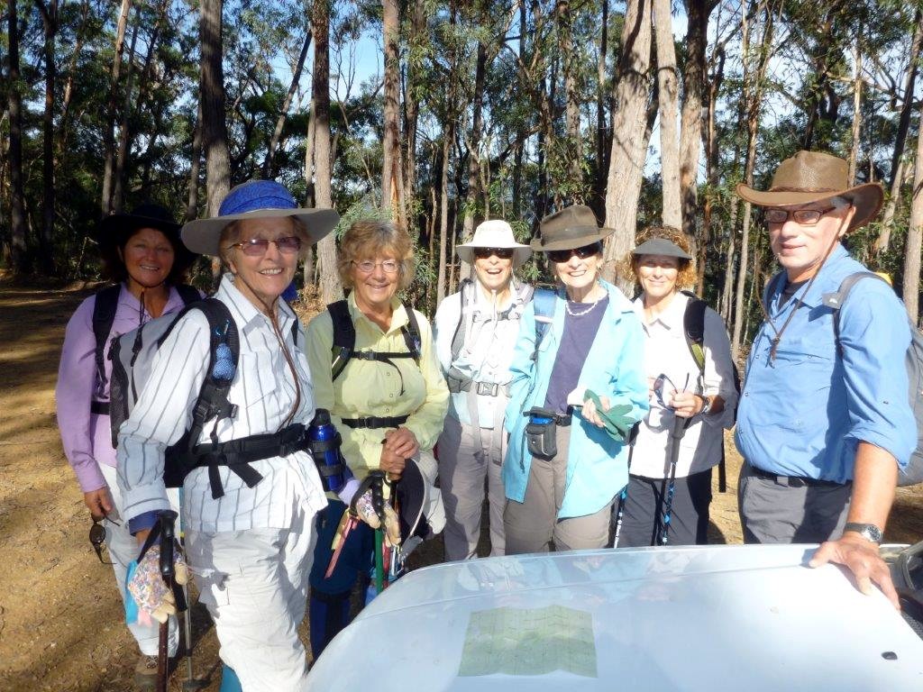 Group with map