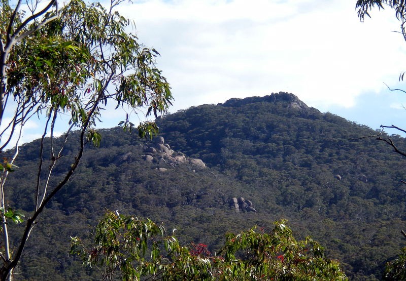 Tinderry Peak from the north