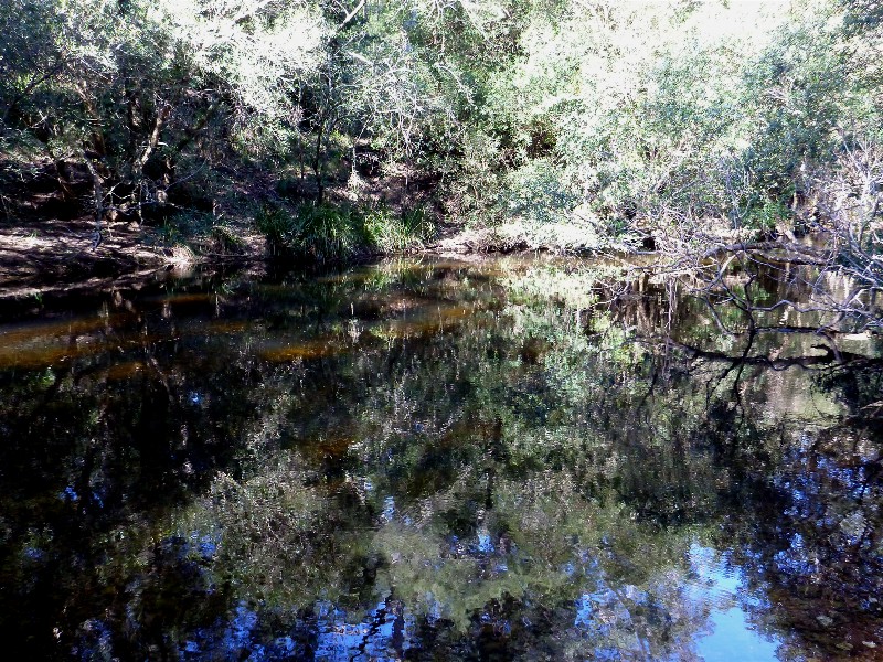 Currowan Creek reflections