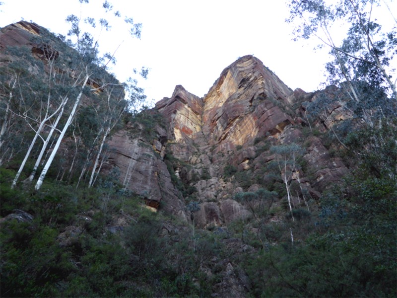 Deep in the Jamison Valley