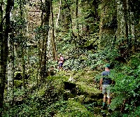 Mike & Bob below Illawarra Escarpment