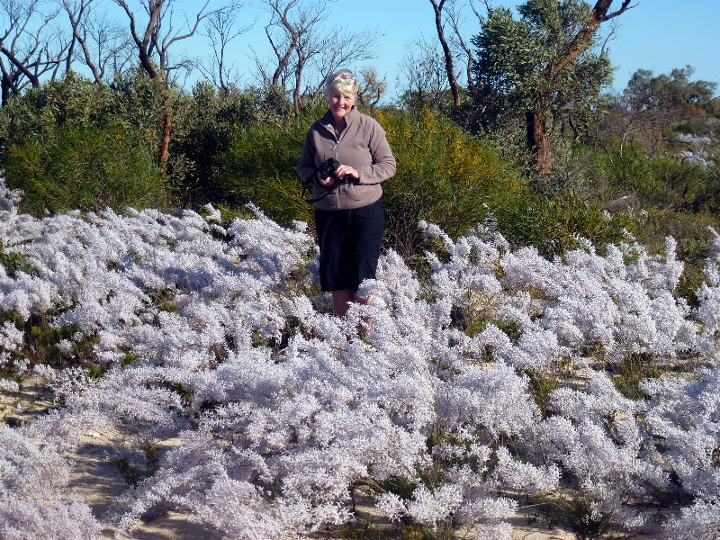 Donna surrounded by smokebush