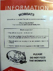 Beware of Wombats
